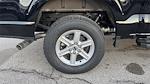 New 2025 Ford F-150 XLT SuperCrew Cab for sale #K54453 - photo 11