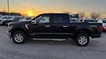 New 2025 Ford F-150 XLT SuperCrew Cab for sale #K54453 - photo 7