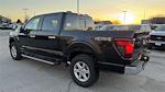 New 2025 Ford F-150 XLT SuperCrew Cab for sale #K54453 - photo 8