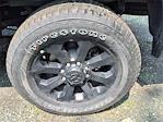 2025 Ram 2500 Crew Cab 4x4 Pickup for sale #S323 - photo 9