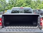 2025 Ram 1500 Crew Cab 4x4 Pickup for sale #S417 - photo 10