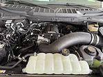 2024 Ford F-150 SuperCrew Cab 4WD Pickup for sale #71956 - photo 22