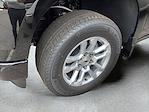 2024 Chevrolet Silverado 1500 Crew Cab 4x4 Pickup for sale #M10753 - photo 10