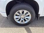 2024 Chevrolet Silverado 1500 Crew Cab 4x4 Pickup for sale #M11282 - photo 10