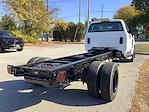 2024 Chevrolet Silverado 5500 Regular Cab DRW 4x2, Cab Chassis for sale #M11804 - photo 2