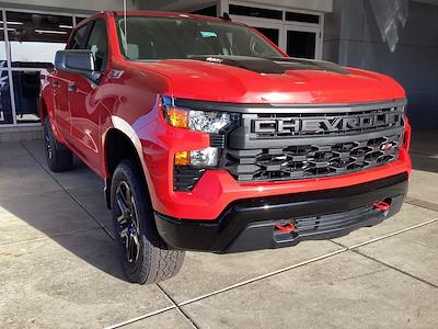 2025 Chevrolet Silverado 1500 Crew Cab 4x4 Pickup for sale #M12616 - photo 1