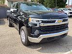 2025 Chevrolet Silverado 1500 Crew Cab 4x4 Pickup for sale #M12674 - photo 3
