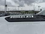 2025 Chevrolet Silverado 2500 Regular Cab 4WD Pickup for sale #D250462A - photo 19