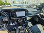 2024 Ford F-150 SuperCrew Cab 4x4 Pickup for sale #BRFA70886 - photo 6