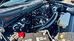 2024 Ford F-150 SuperCrew Cab 4x4 Pickup for sale #BRFB48600 - photo 19