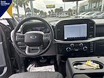 2023 Ford F-150 SuperCrew Cab 4WD Pickup for sale #JPFD30144 - photo 16