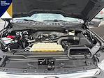 2023 Ford F-150 SuperCrew Cab 4WD Pickup for sale #JPFD30144 - photo 25