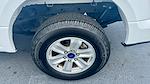 2019 Ford F-150 Regular Cab 4x2 Pickup for sale #PKKD38566 - photo 13