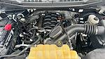 2019 Ford F-150 Regular Cab 4x2 Pickup for sale #PKKD38566 - photo 16