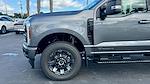 2024 Ford F-350 Crew Cab SRW 4x4, Pickup for sale #REF41440 - photo 14