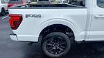 2024 Ford F-150 SuperCrew Cab 4x4, Pickup for sale #RFB03364 - photo 6