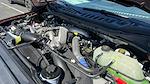 2025 Ford F-250 Crew Cab 4x4 Pickup for sale #SEC19800 - photo 19