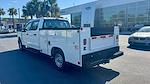 2025 Ford F-250 Crew Cab RWD Service Truck for sale #SEC22485 - photo 7