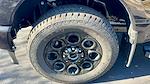 2025 Ford F-250 Crew Cab 4x4 Pickup for sale #SEC25611 - photo 15