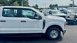 2025 Ford F-250 Crew Cab RWD Pickup for sale #SED10180 - photo 3