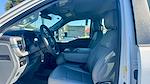 2025 Ford F-350 Crew Cab DRW RWD Pickup for sale #SED48511 - photo 14