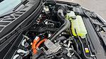 2025 Ford F-150 SuperCrew Cab 4x4 Pickup for sale #SFA65051 - photo 17