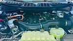 2025 Ford F-150 SuperCrew Cab 4x4 Pickup for sale #SFB09782 - photo 16