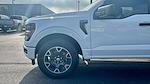 2025 Ford F-150 SuperCrew Cab 4x2 Pickup for sale #SKD03833 - photo 15