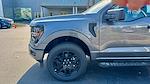 2025 Ford F-150 SuperCrew Cab 4x4 Pickup for sale #SKD28838 - photo 15