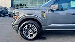 2025 Ford F-150 SuperCrew Cab 4x2 Pickup for sale #SKD31414 - photo 15