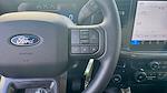 2025 Ford F-150 SuperCrew Cab 4x2 Pickup for sale #SKD31414 - photo 28