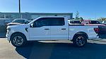 2025 Ford F-150 SuperCrew Cab 4x2 Pickup for sale #SKD34270 - photo 12