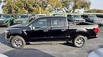 2025 Ford F-150 SuperCrew Cab 4x4 Pickup for sale #SKD40956 - photo 12