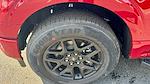 2025 Ford F-150 SuperCrew Cab 4x2 Pickup for sale #SKD41721 - photo 17