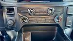 2025 Ford F-150 SuperCrew Cab 4x2 Pickup for sale #SKD41721 - photo 25