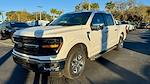 2025 Ford F-150 SuperCrew Cab 4x2 Pickup for sale #SKD63446 - photo 15