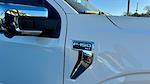 2025 Ford F-150 SuperCrew Cab 4x2 Pickup for sale #SKD63446 - photo 4