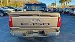 2025 Ford F-150 SuperCrew Cab 4x2 Pickup for sale #SKD74184 - photo 10