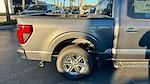2025 Ford F-150 SuperCrew Cab 4x2 Pickup for sale #SKD74184 - photo 5