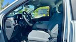 2025 Ford F-150 Regular Cab 4x2 Pickup for sale #SKD76077 - photo 11