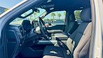 2025 Ford F-150 SuperCrew Cab RWD Pickup for sale #SKE00369 - photo 15