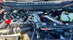 2026 Ford F-250 Crew Cab 4WD Pickup for sale #TEC10926 - photo 19
