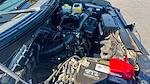 2014 Ford F-150 Regular Cab 4x2 Pickup for sale #TEFA26588 - photo 13