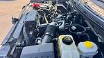2014 Ford F-150 Regular Cab 4x2 Pickup for sale #TEFA26588 - photo 15