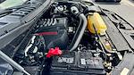 2020 Ford F-150 SuperCrew Cab 4x4 Pickup for sale #TLFA91479 - photo 22