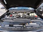 New 2025 Ford F-250 Platinum Crew Cab for sale #S1904 - photo 30