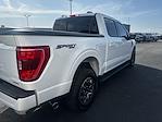 2023 Ford F-150 SuperCrew Cab 4x4 Pickup for sale #513088A - photo 31