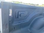 New 2025 Ram 3500 Big Horn Crew Cab 4x4 DRW Pickup for sale #533814 - photo 16