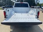 2025 Ram 2500 Crew Cab 4x4 Pickup for sale #534925 - photo 15