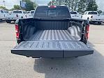 2025 Ram 1500 Crew Cab 4x4 Pickup for sale #738263 - photo 16